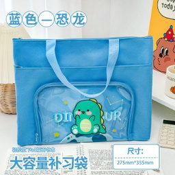Tuition Bag