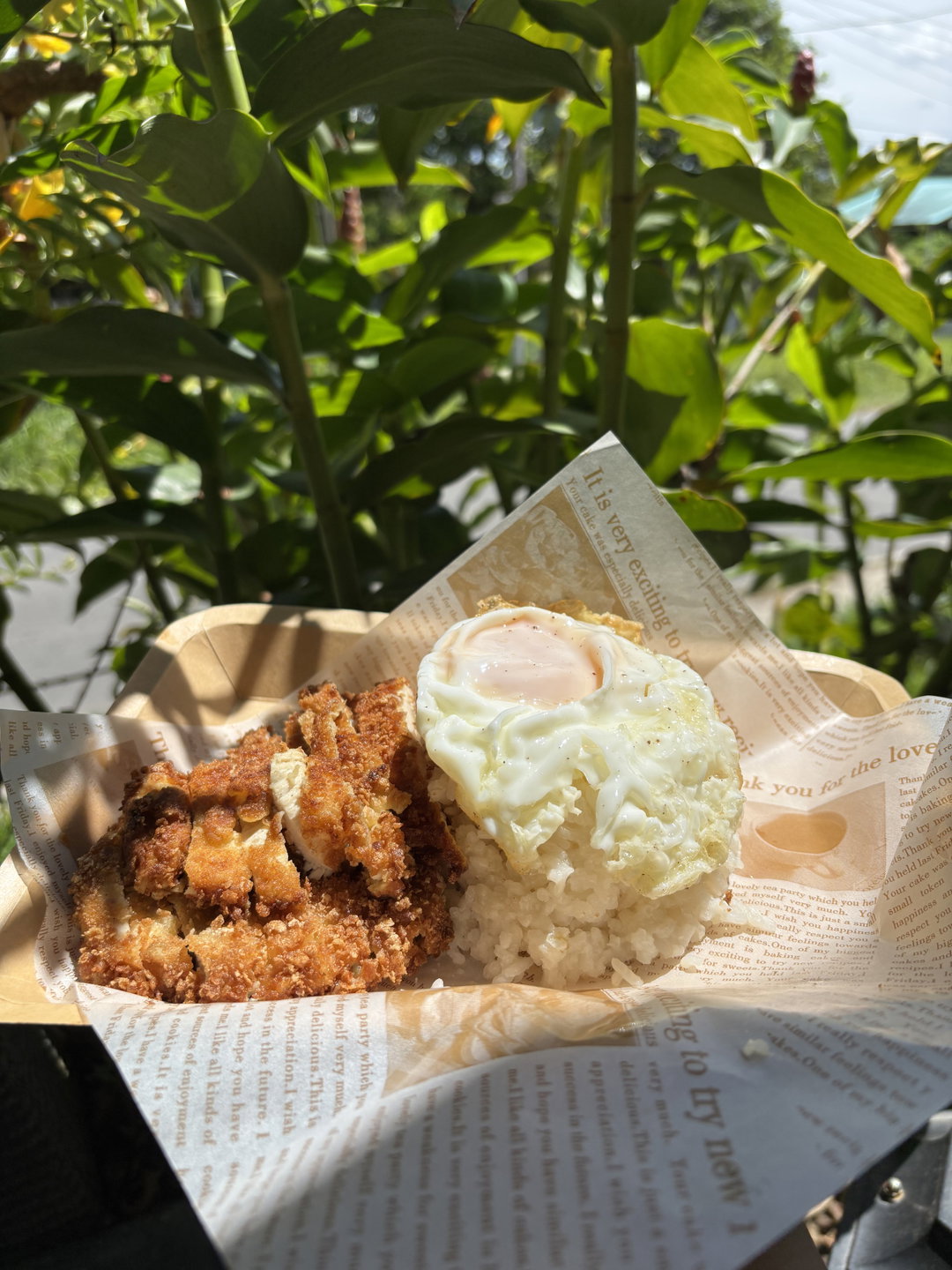 Chicken Rice