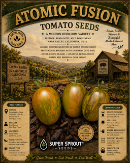 Brad Gates tomato seed collectors pack x 12 packs x 10 seeds per pack 
