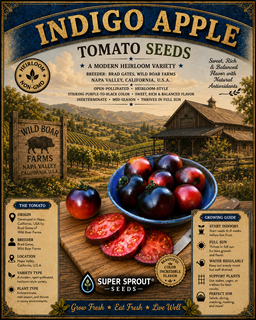 Brad Gates tomato seed collectors pack x 12 packs x 10 seeds per pack 