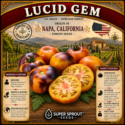 Brad Gates tomato seed collectors pack x 12 packs x 10 seeds per pack 