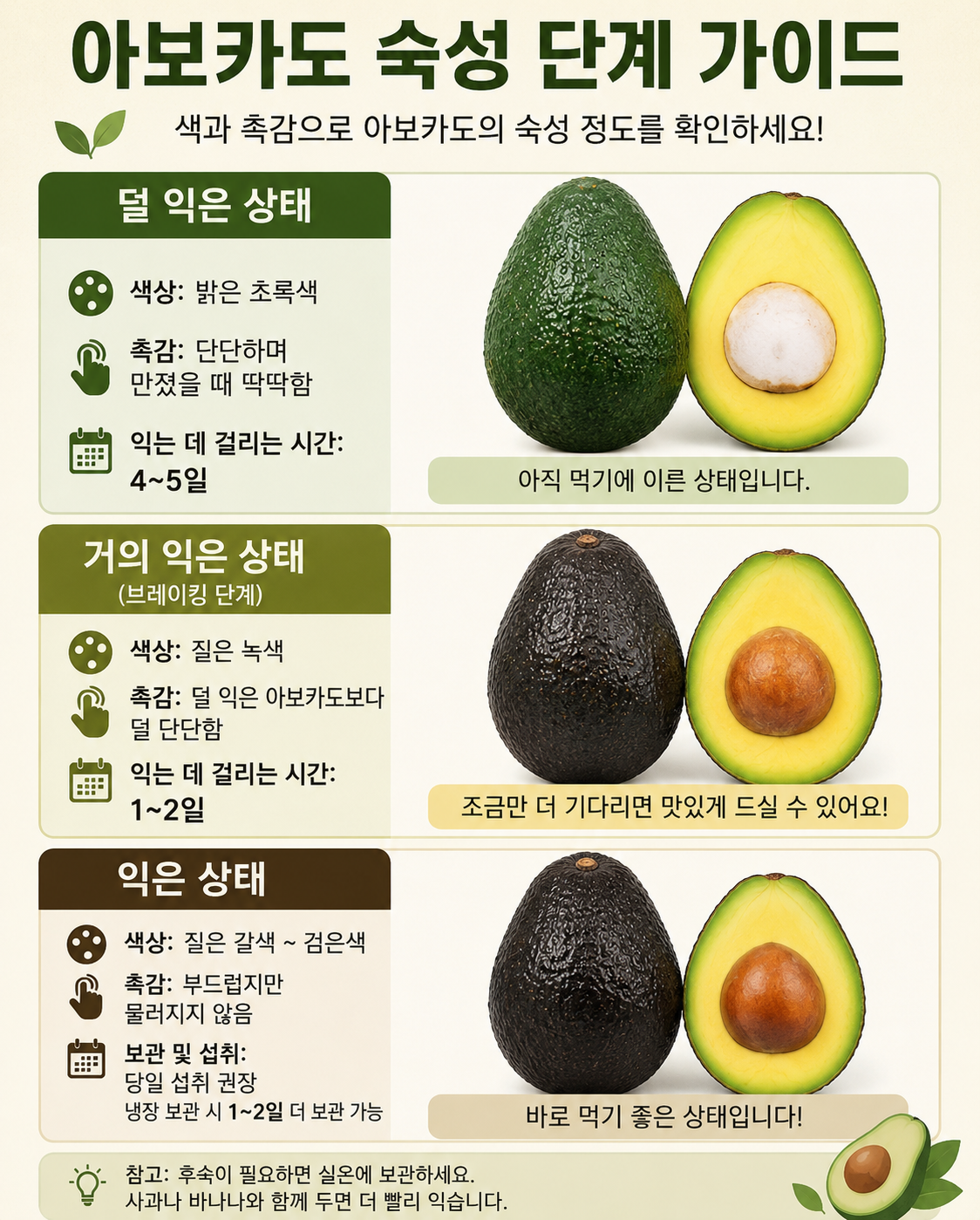 아보카도 (무농약 현지 재배)_1