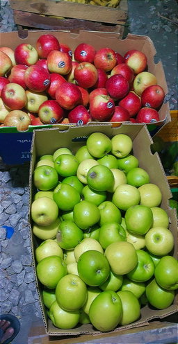 Apples