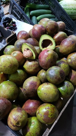 Avocado Local from Rombo