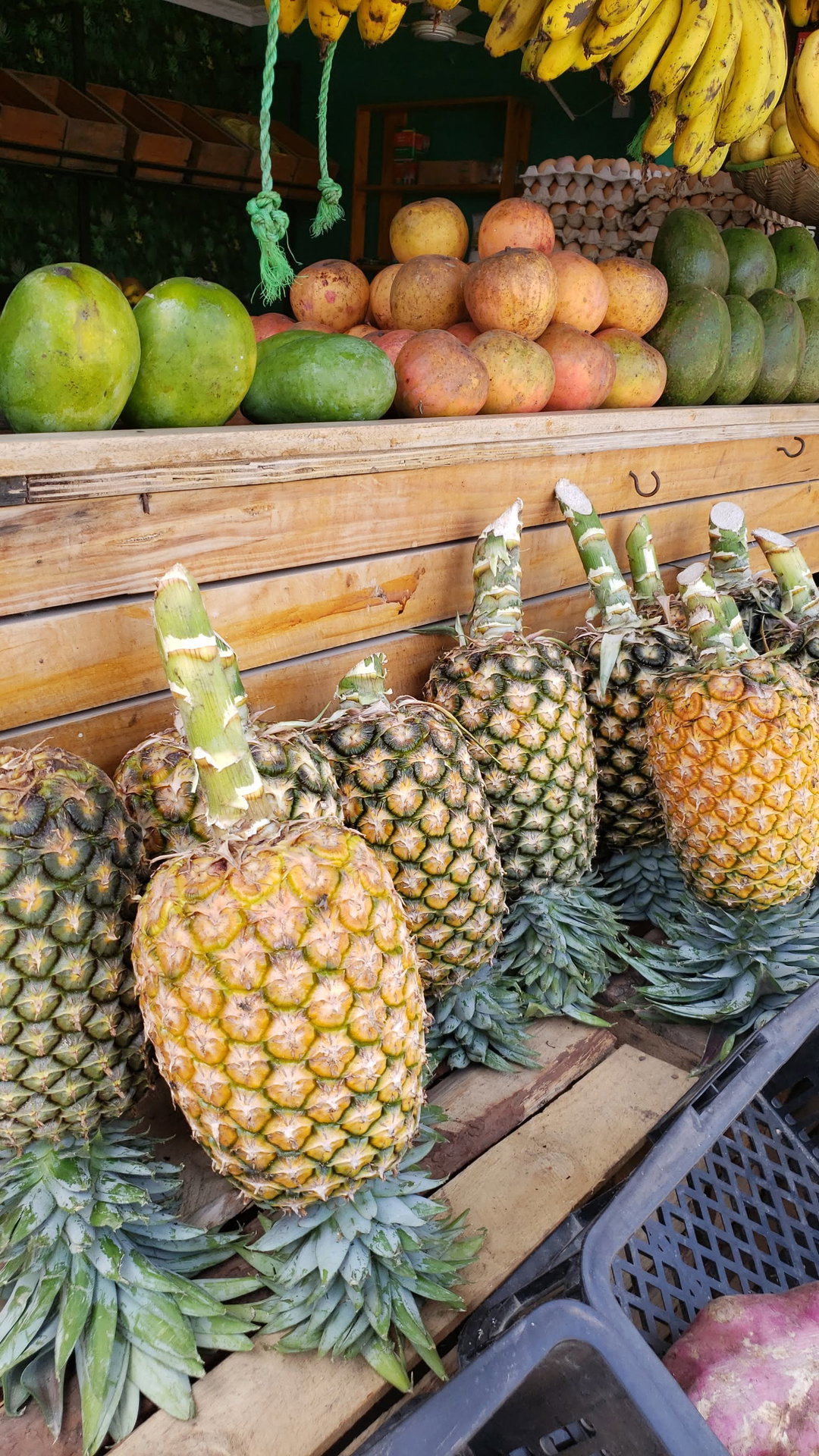 Pineapple