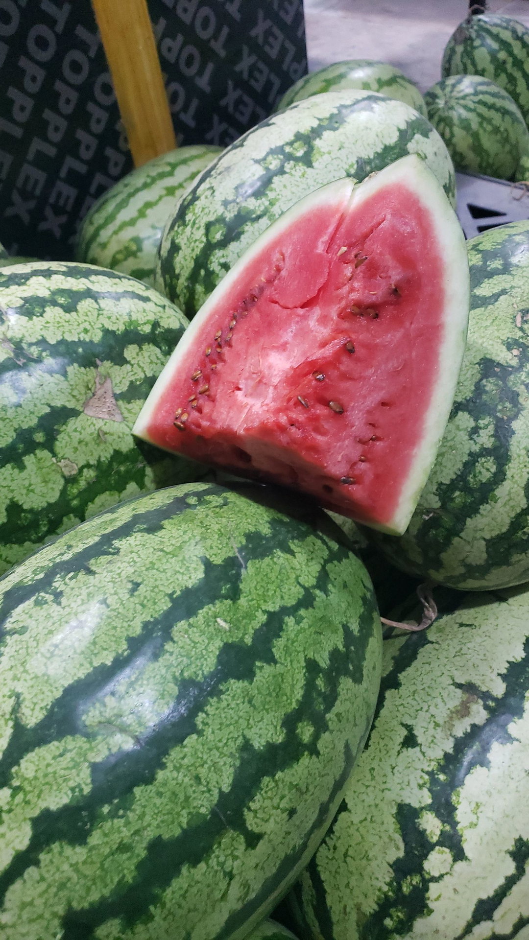 Watermelon