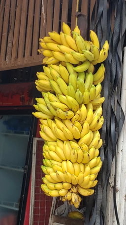 Banana Kisukari