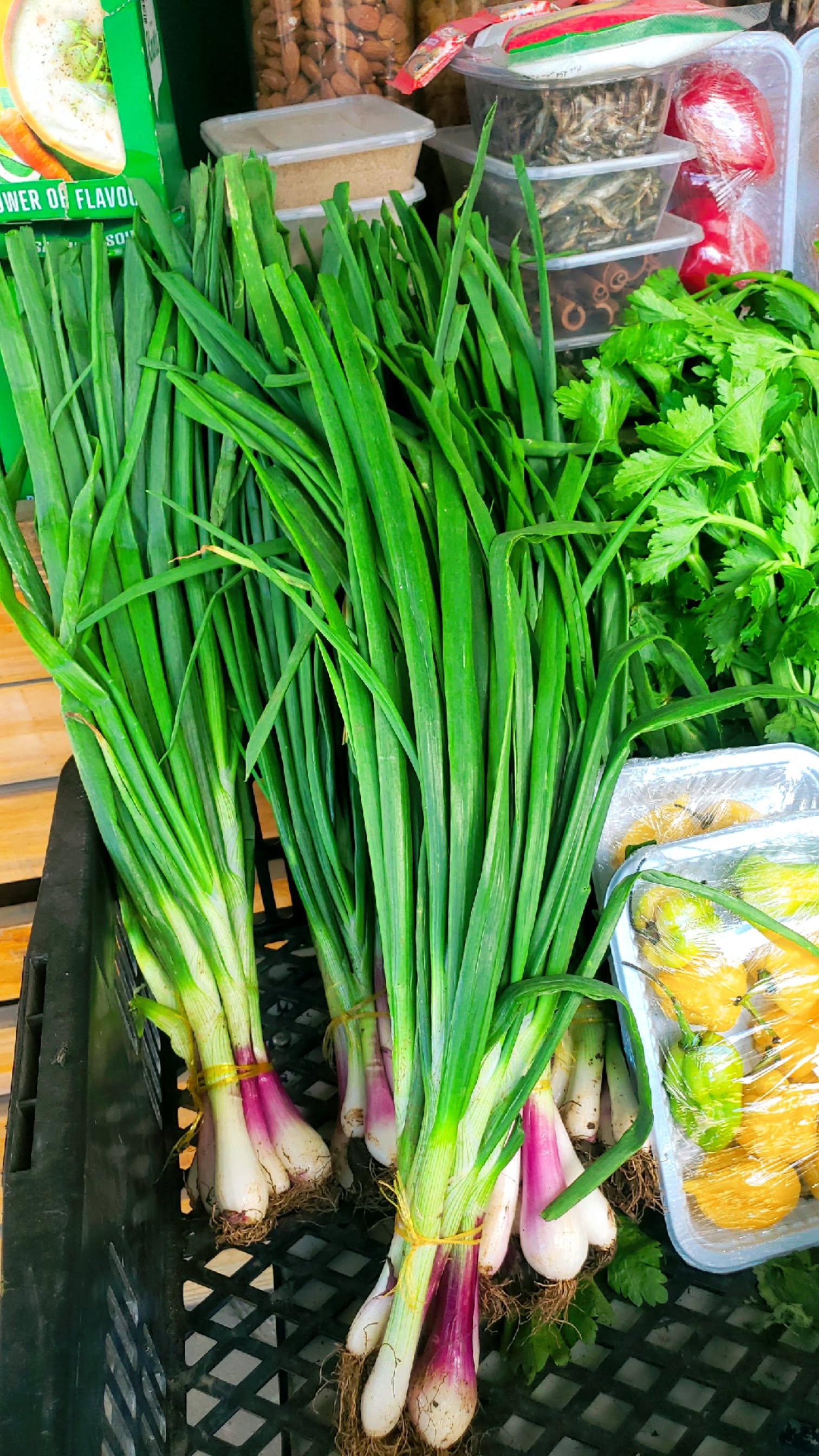 Spring onion_0