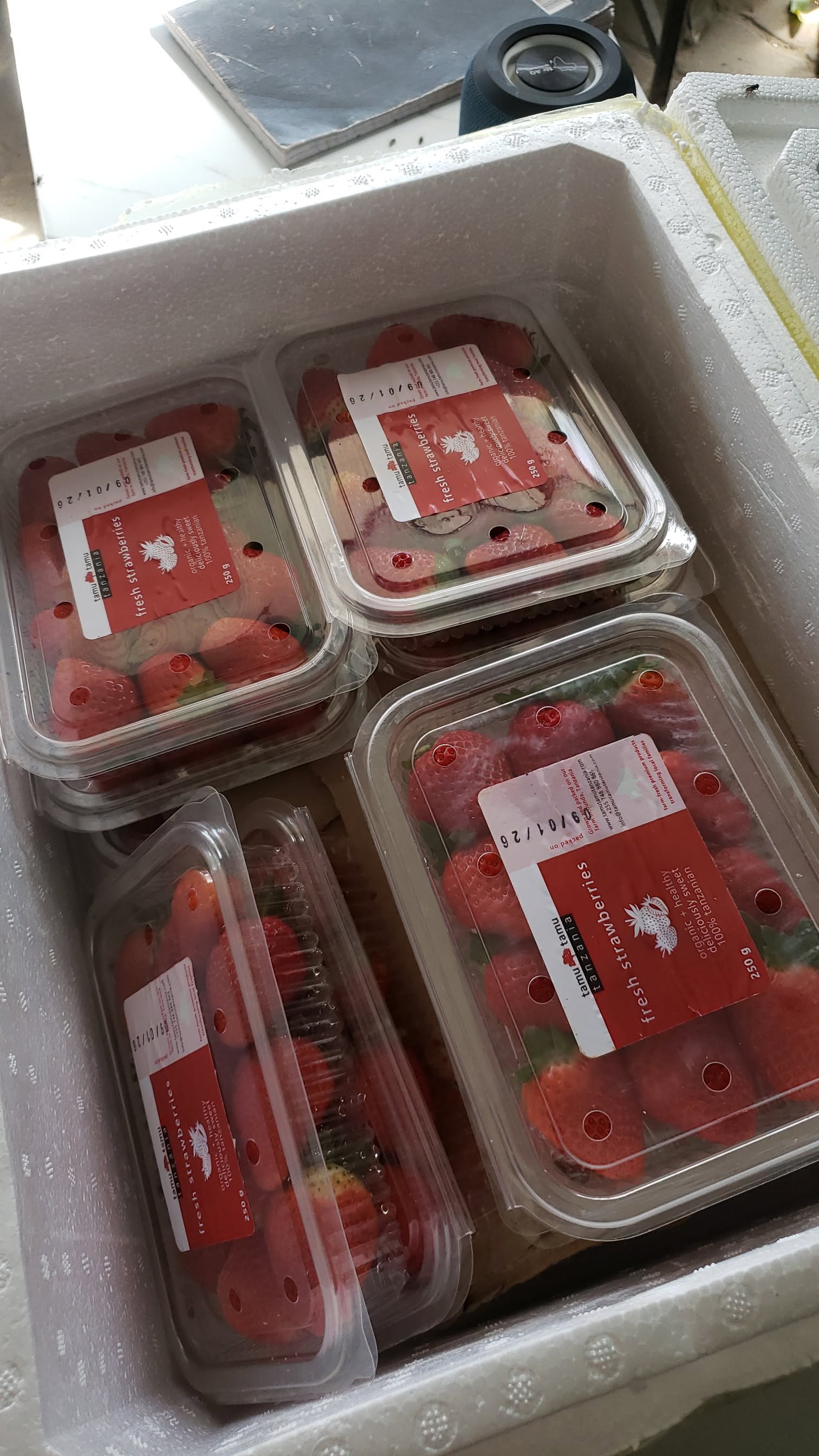Strawberry_0