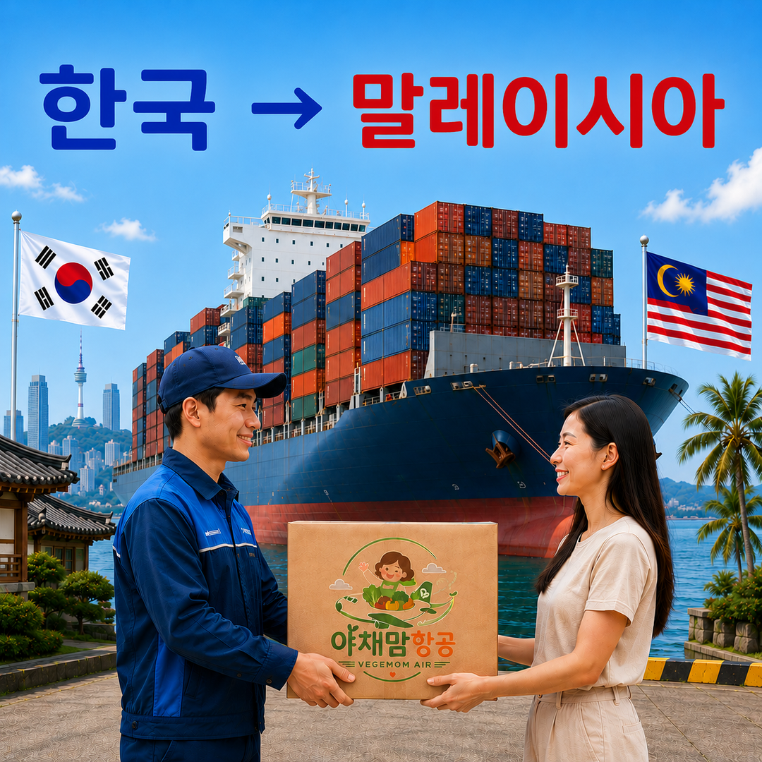 항공 택배 배송(한-말)
