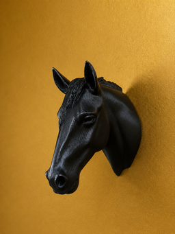 Horse bust Wall Hook  