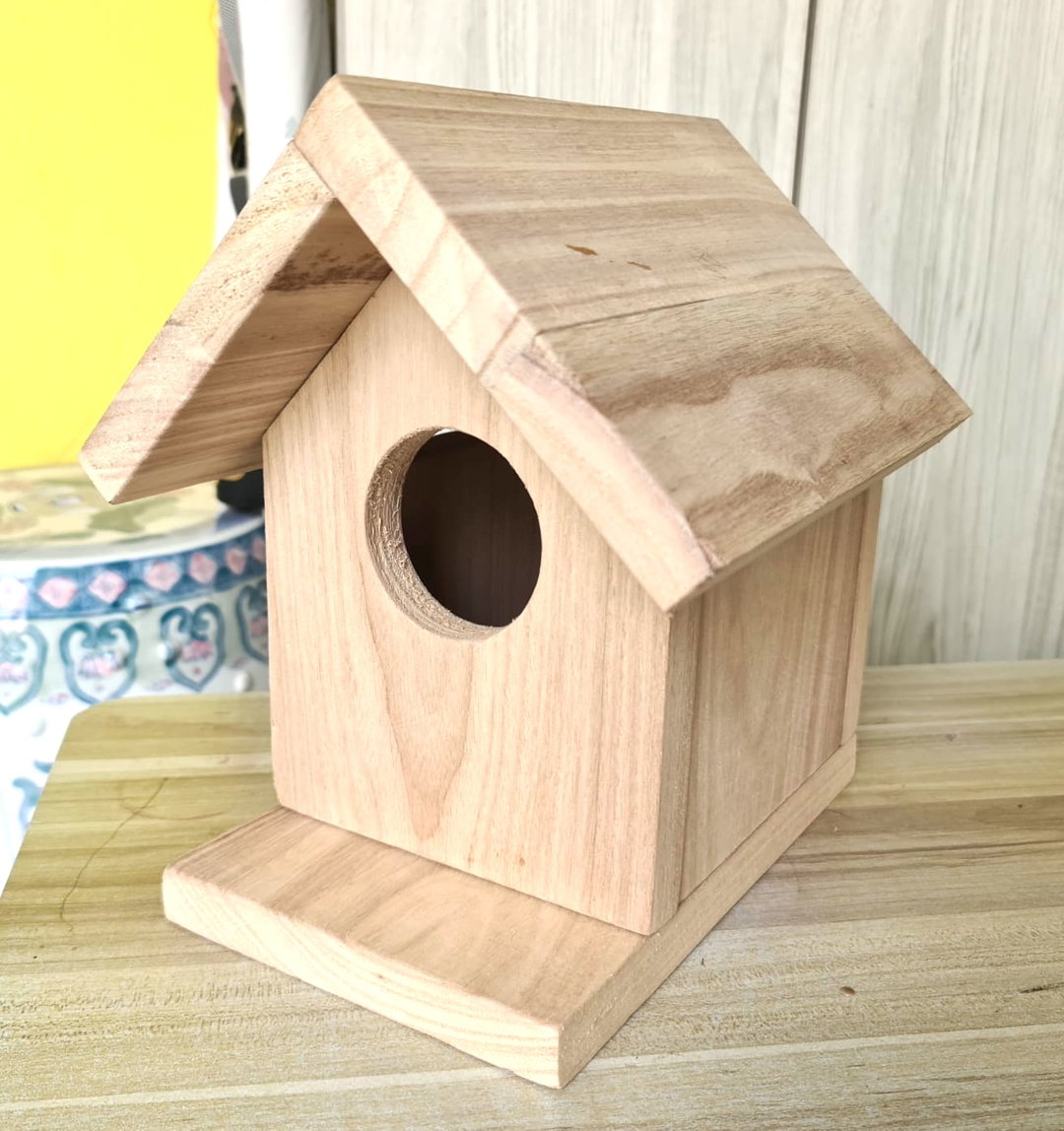 Build and Paint-Your-Own Birdhouse DIY Kit