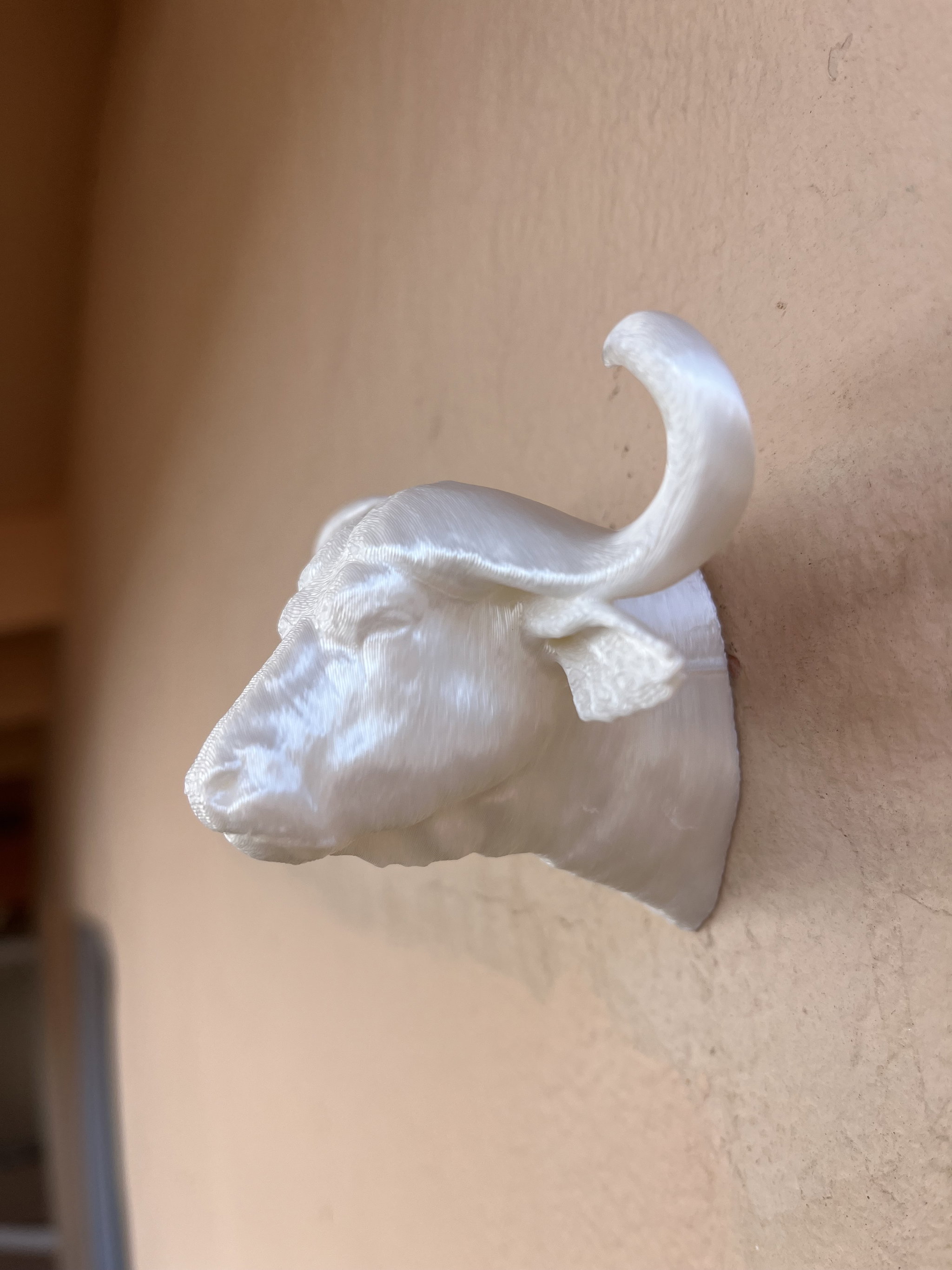 Door Stop Animal Bust Cape Buffalo _2