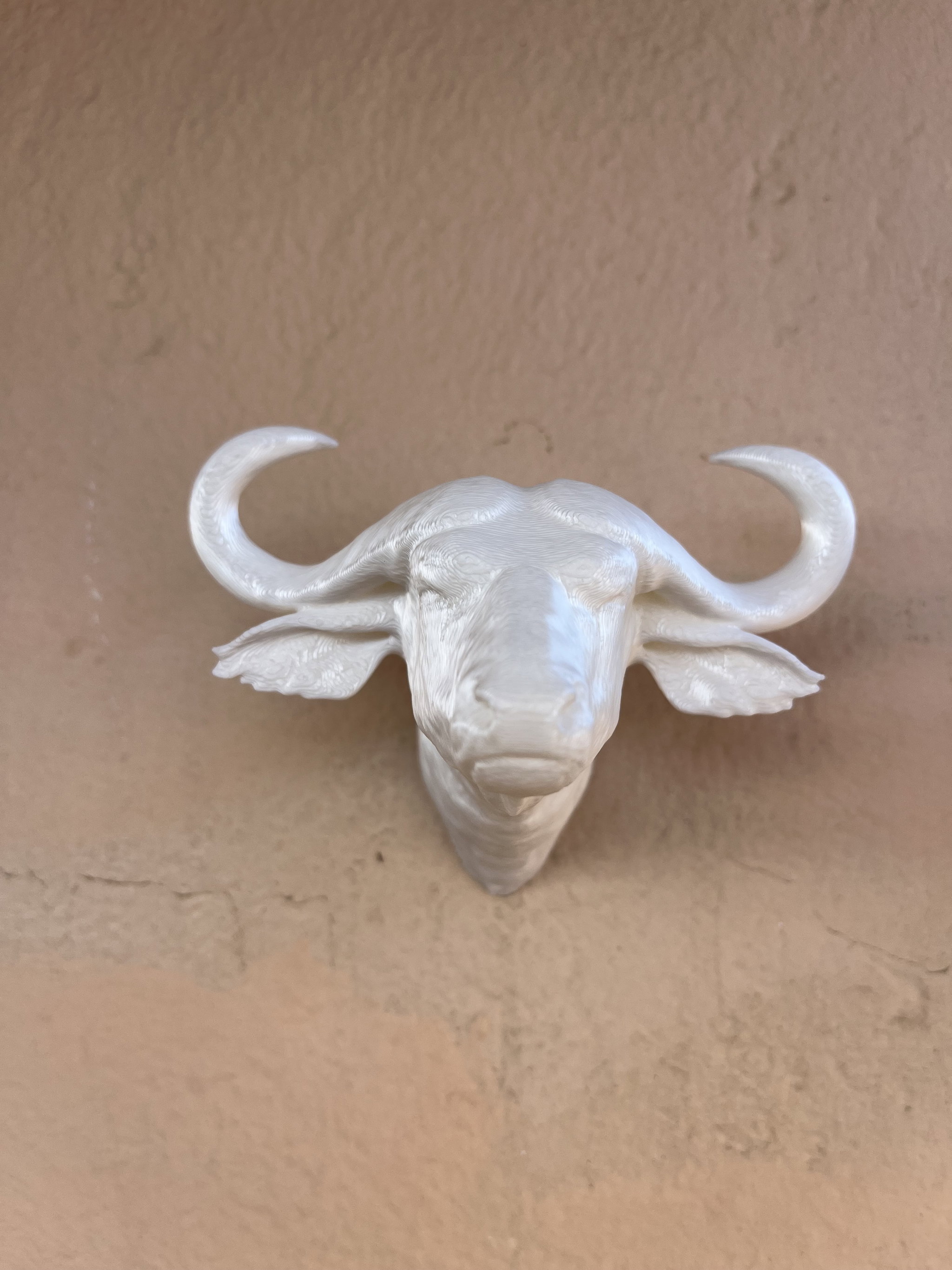Door Stop Animal Bust Cape Buffalo _4