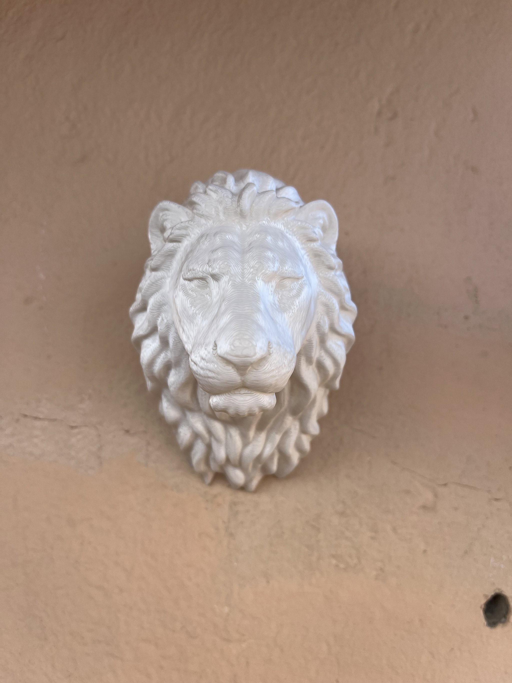 Lion bust Wall Hook  _1