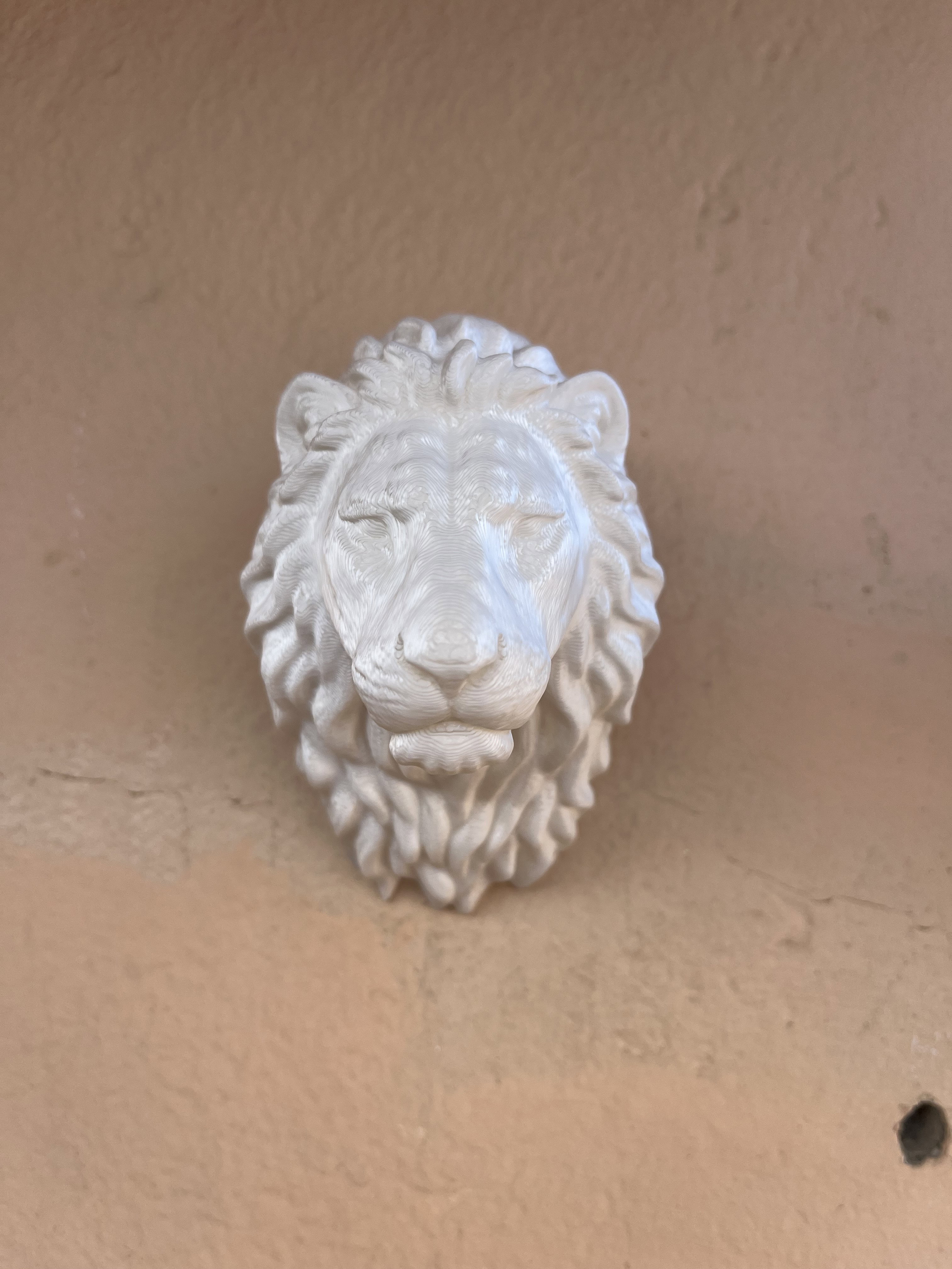 Gift Box Animal Bust Charms Lion  _1