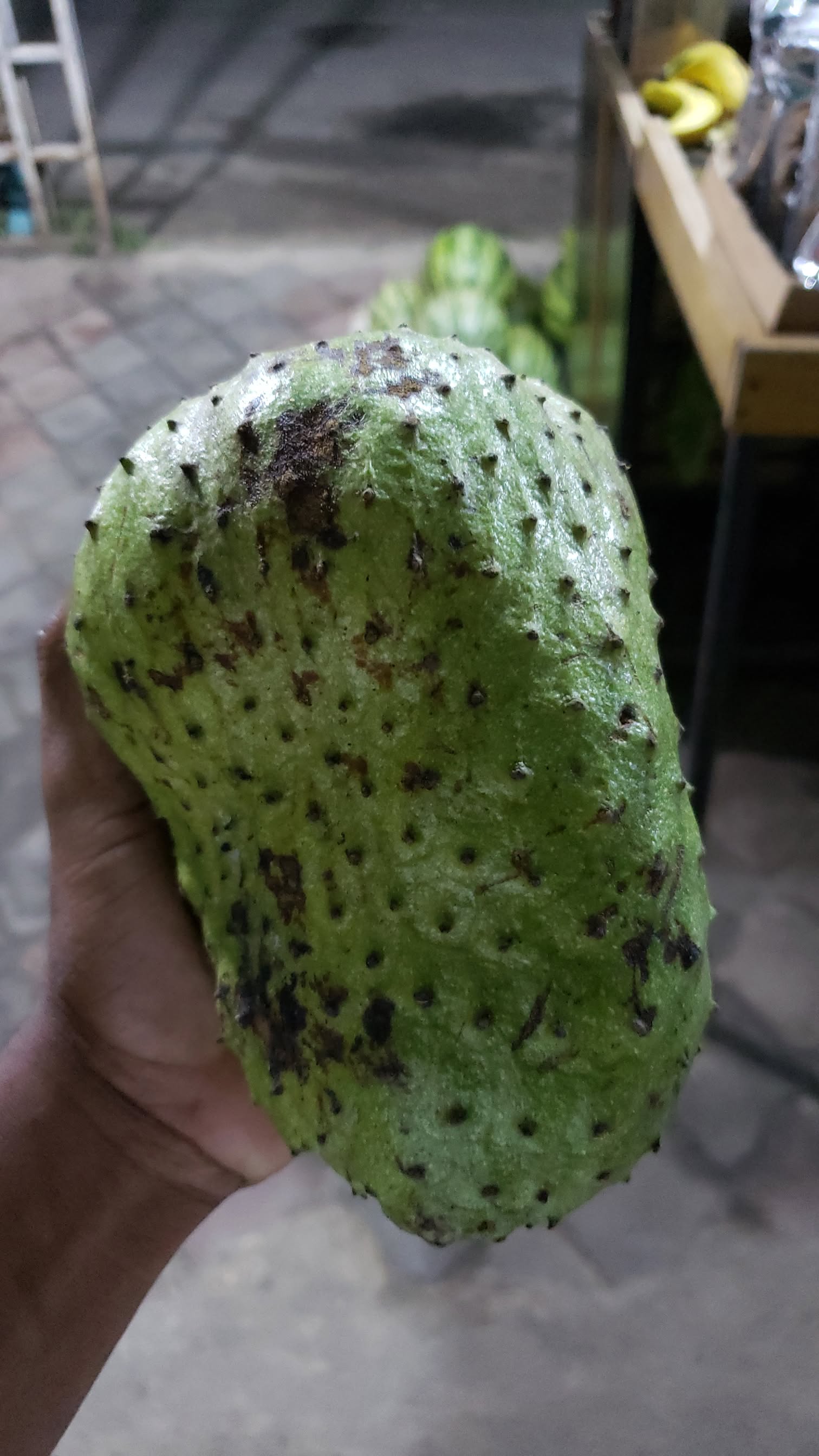 Soursop_0