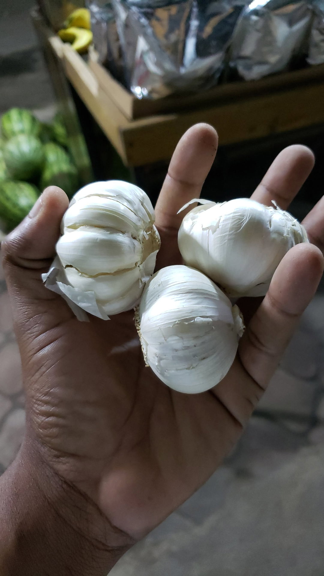 Garlic