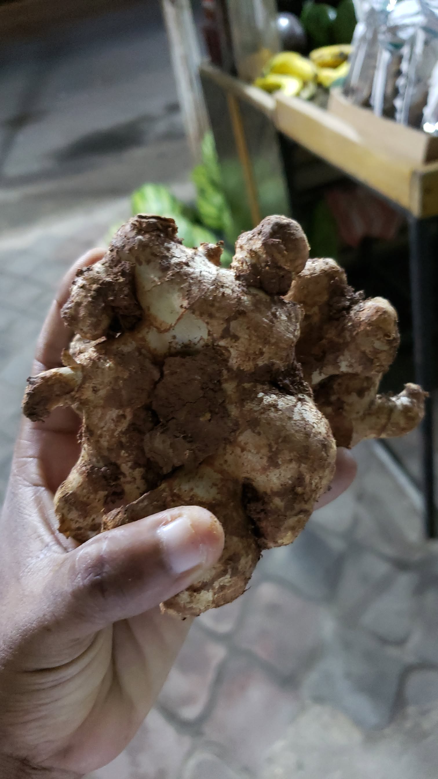Ginger_0