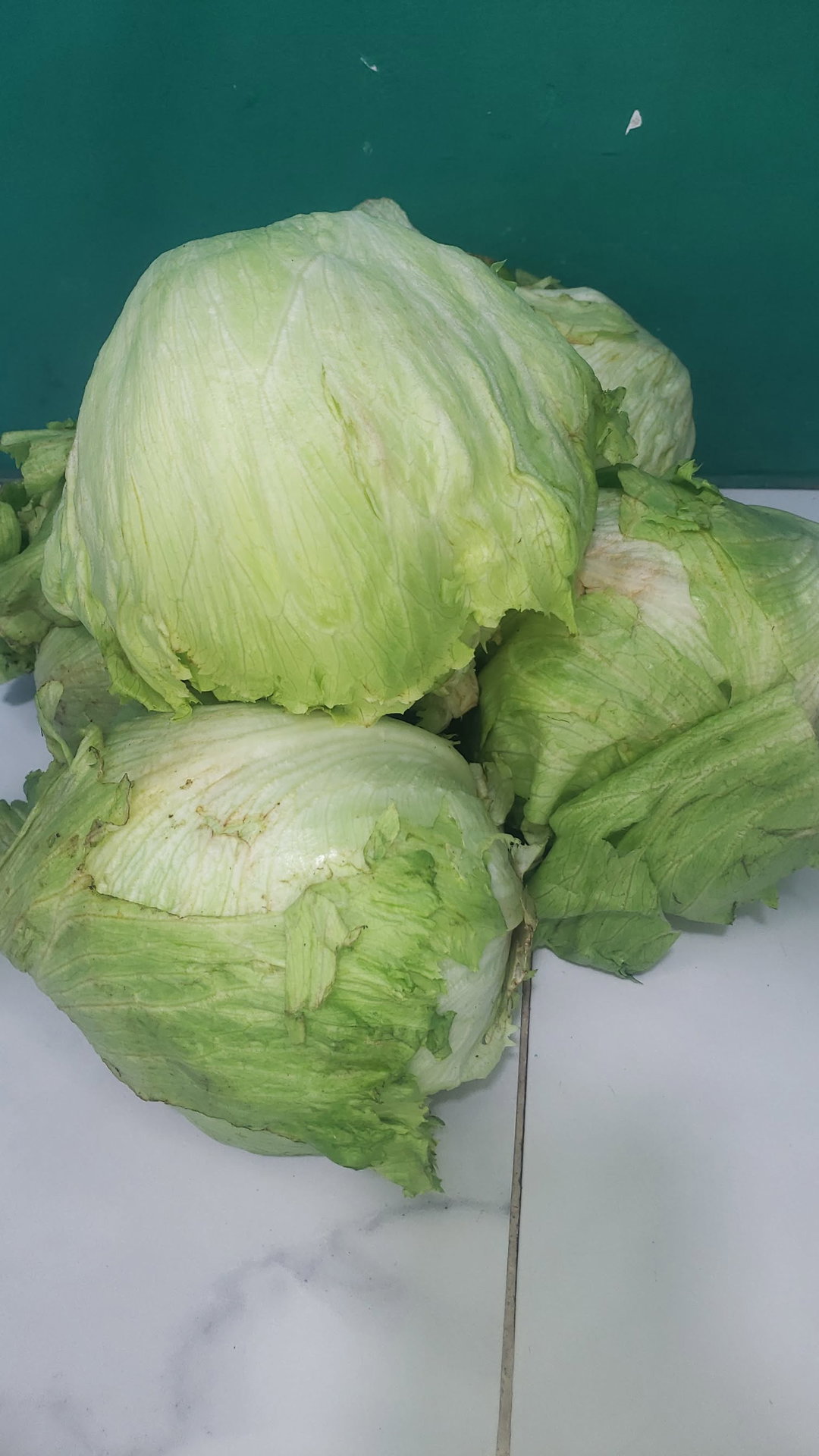 Iceberg Lettuce