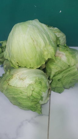 Iceberg Lettuce