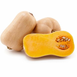 Butternut