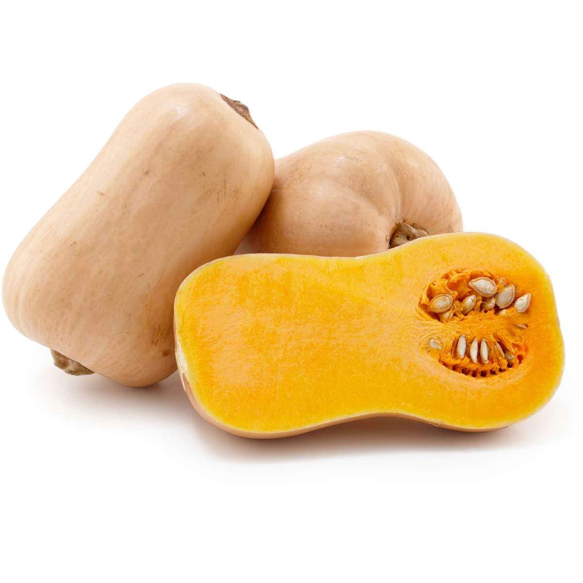 Butternut
