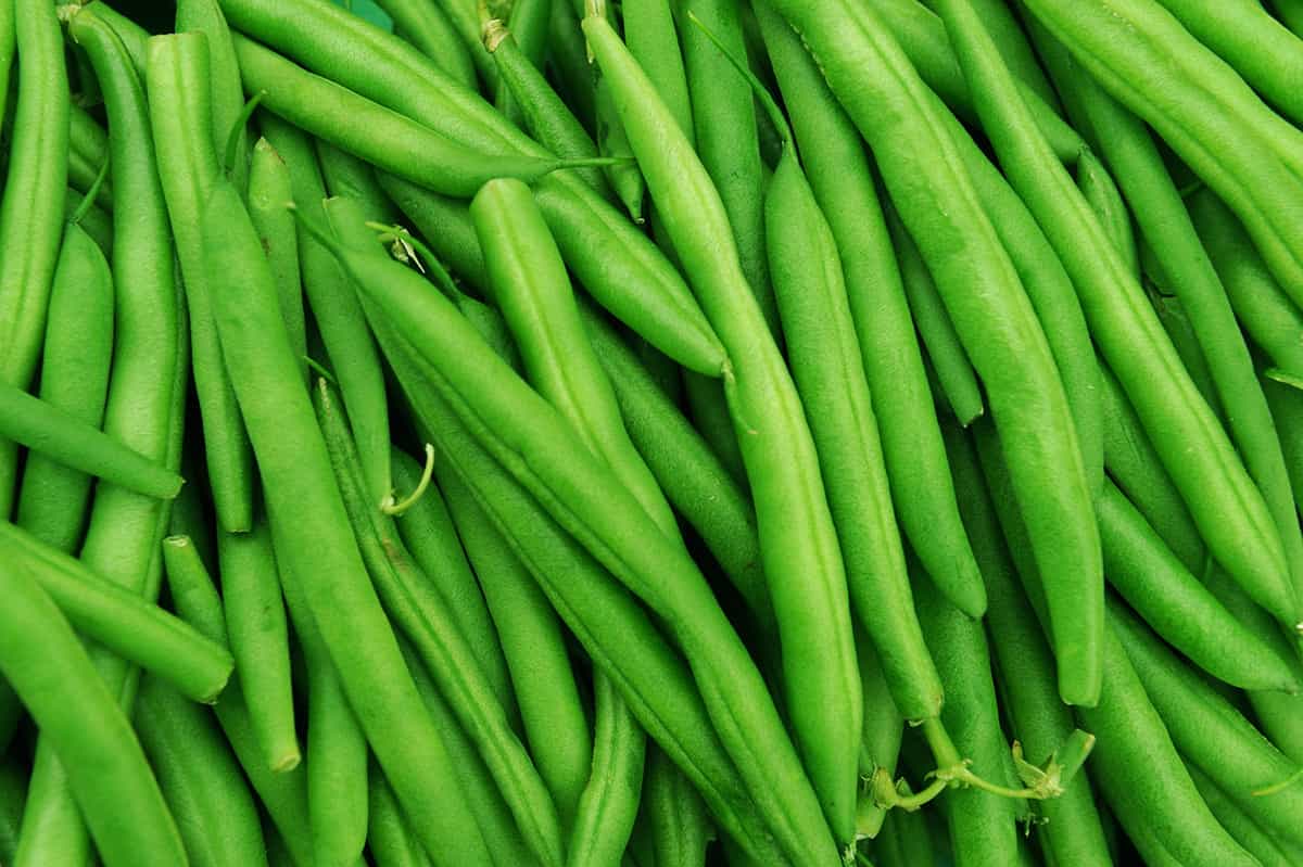 Green Beans_1