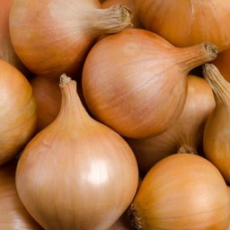 Onion