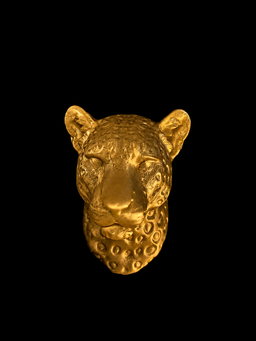Leopard bust Fridge Magnet 