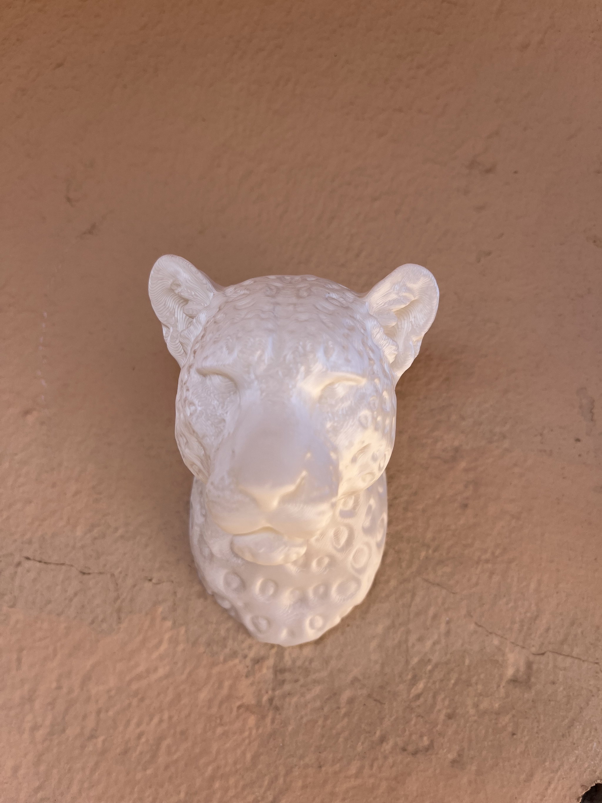 Leopard bust Fridge Magnet _2