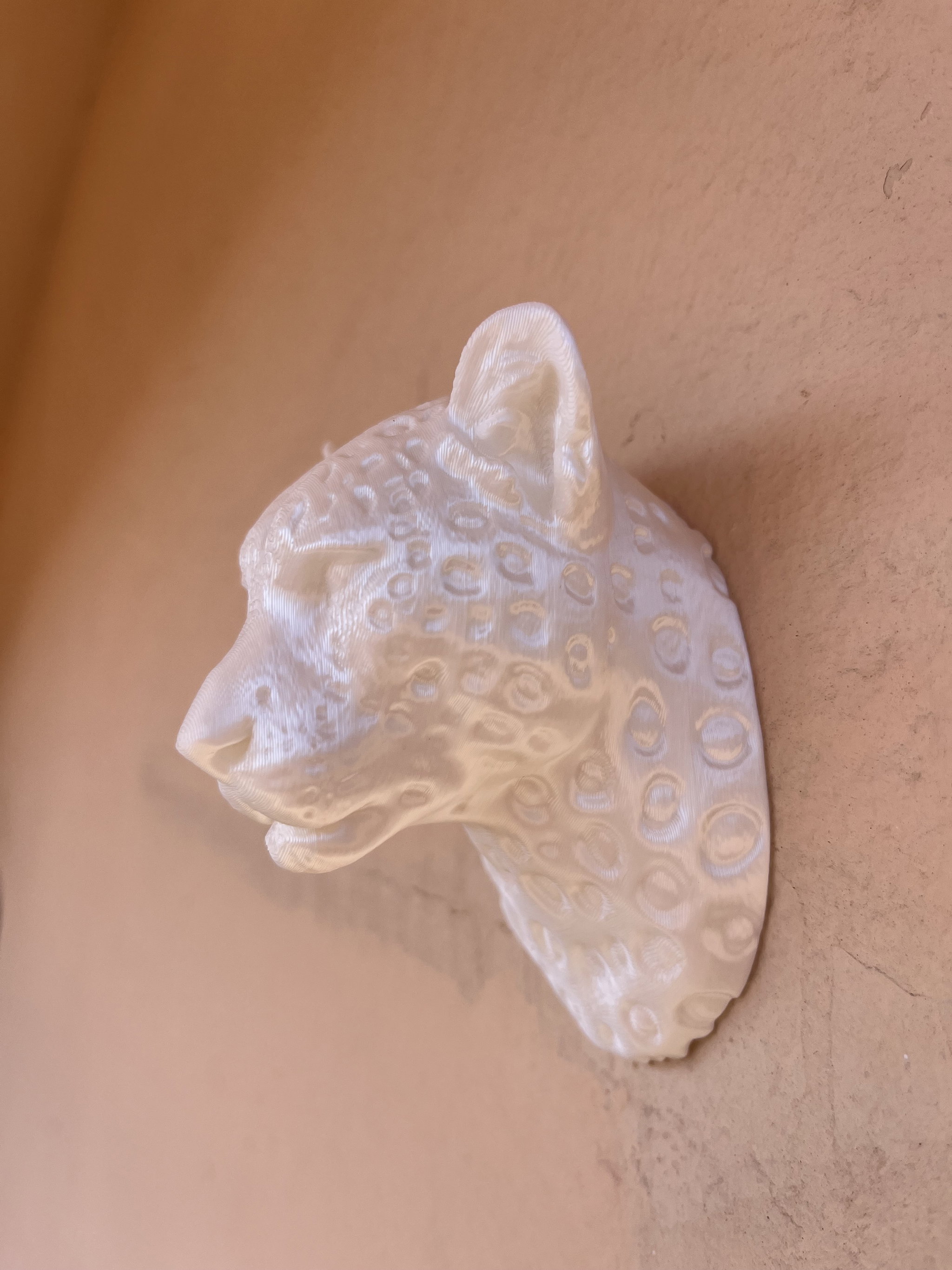 Leopard bust Fridge Magnet _5