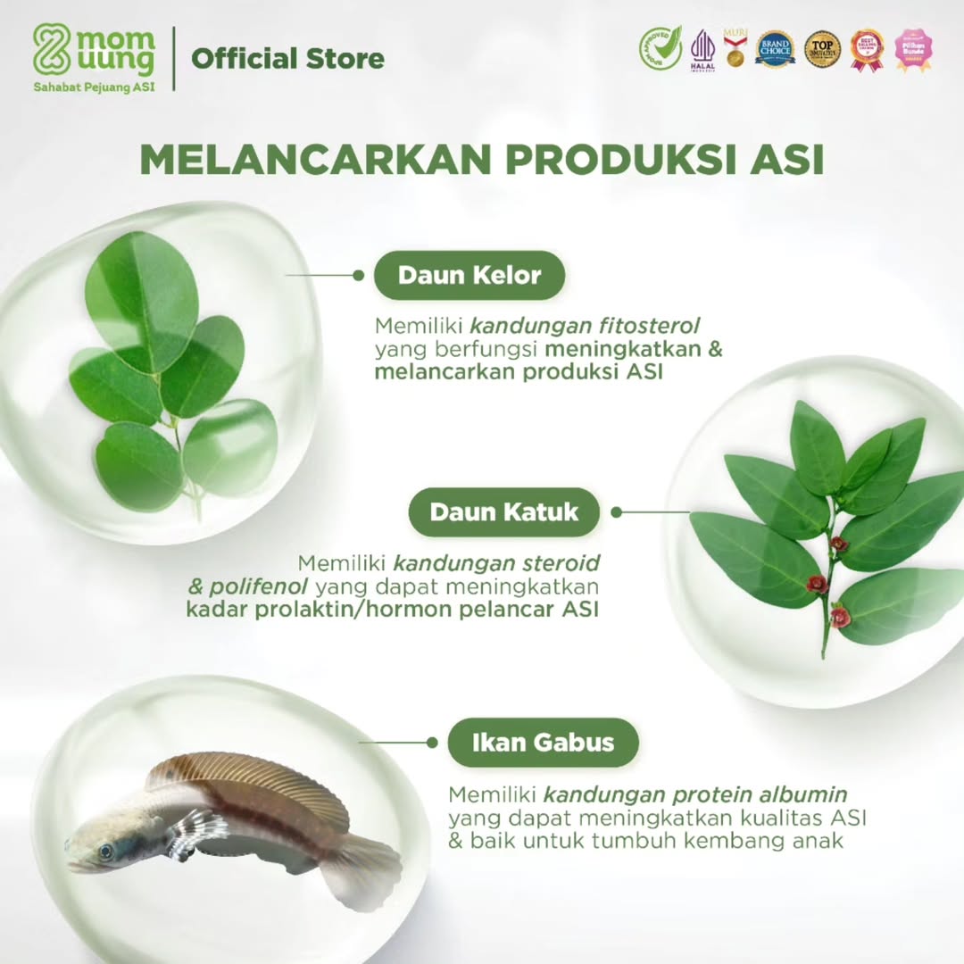 MOM UUNG ASI BOOSTER _1
