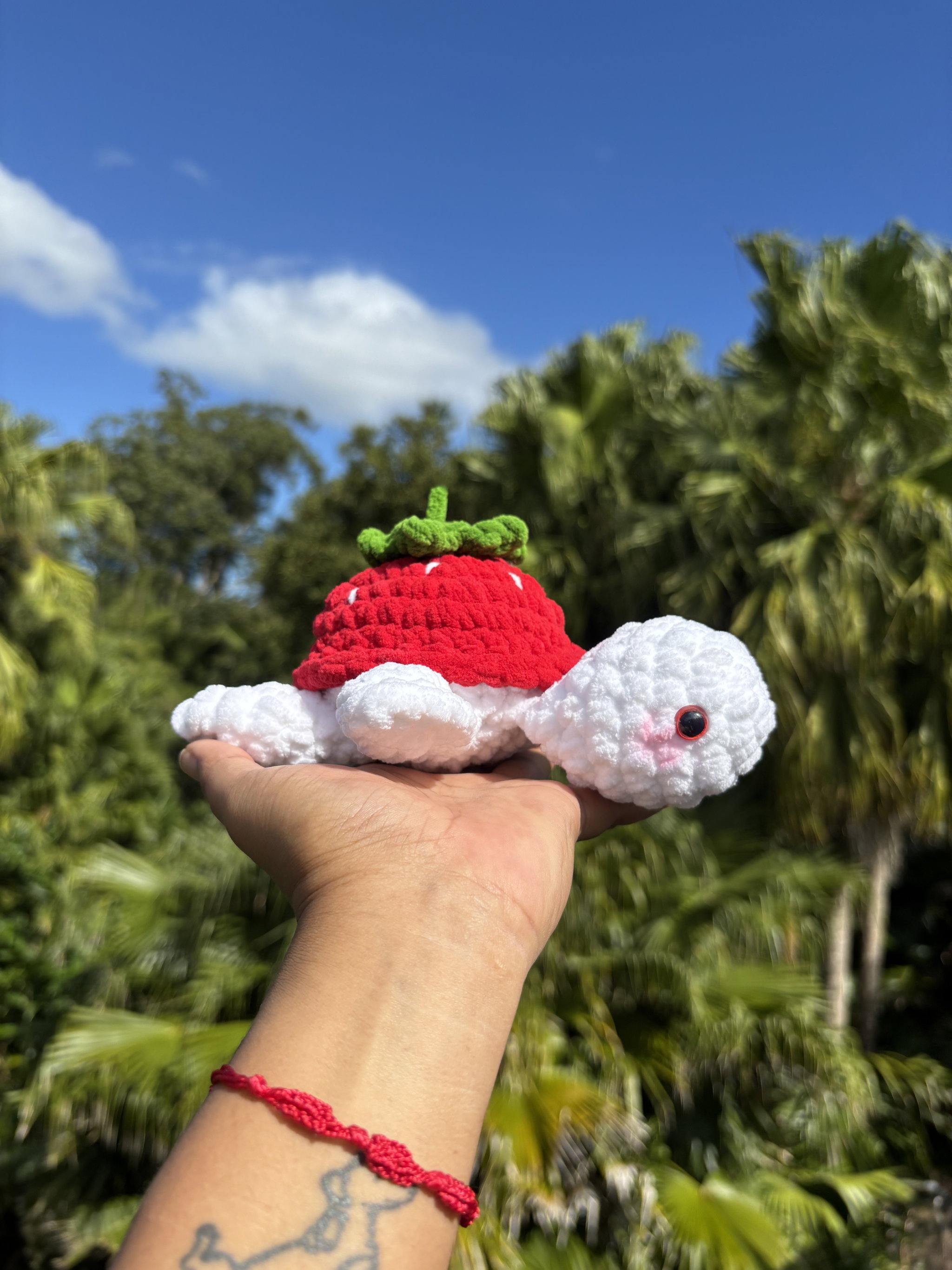 Strawberry turtle _0