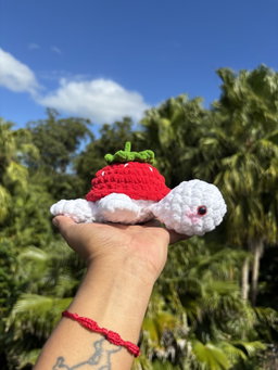 Strawberry turtle 