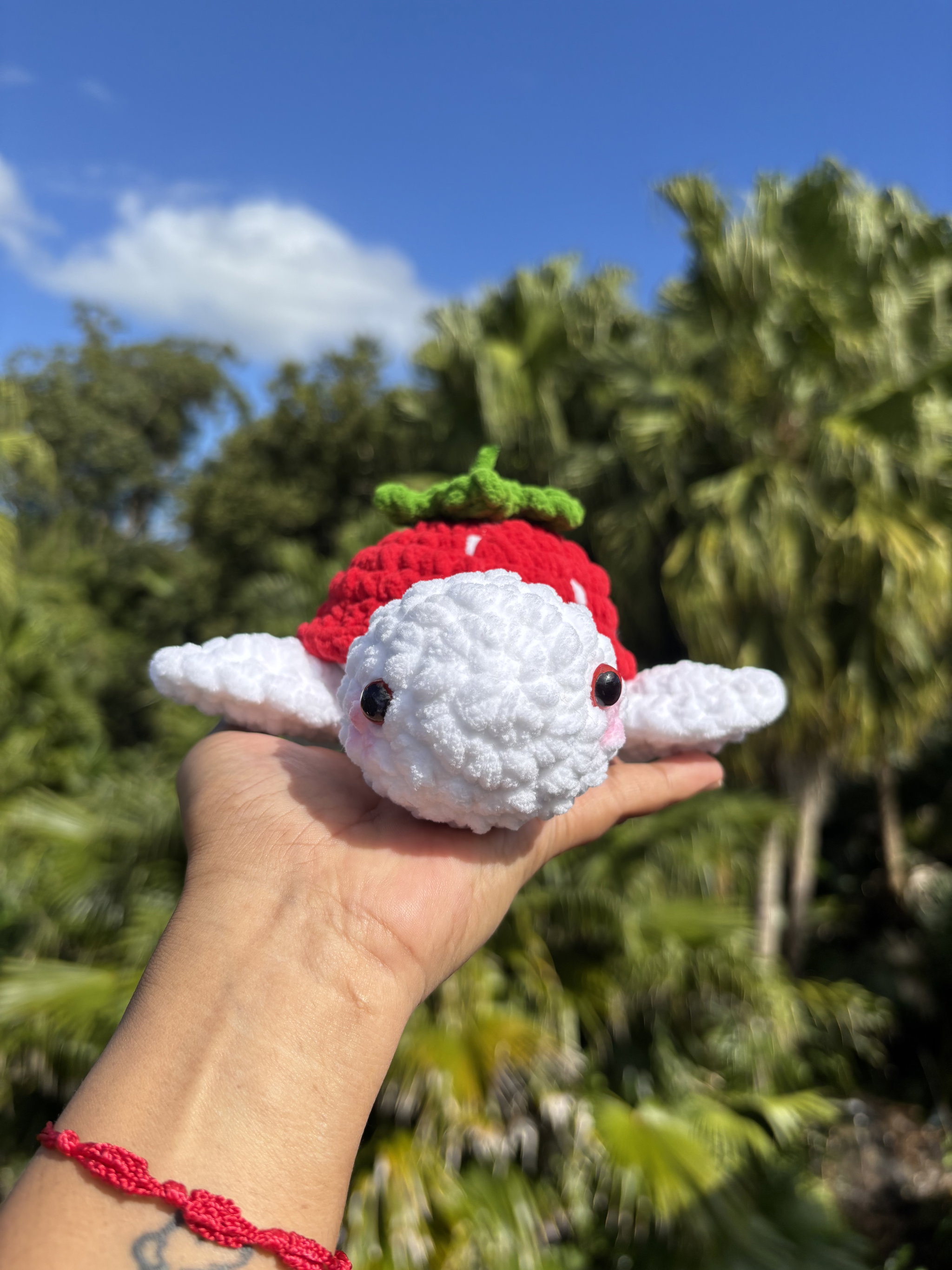 Strawberry turtle _2