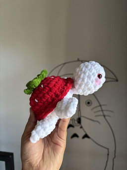 Strawberry turtle 