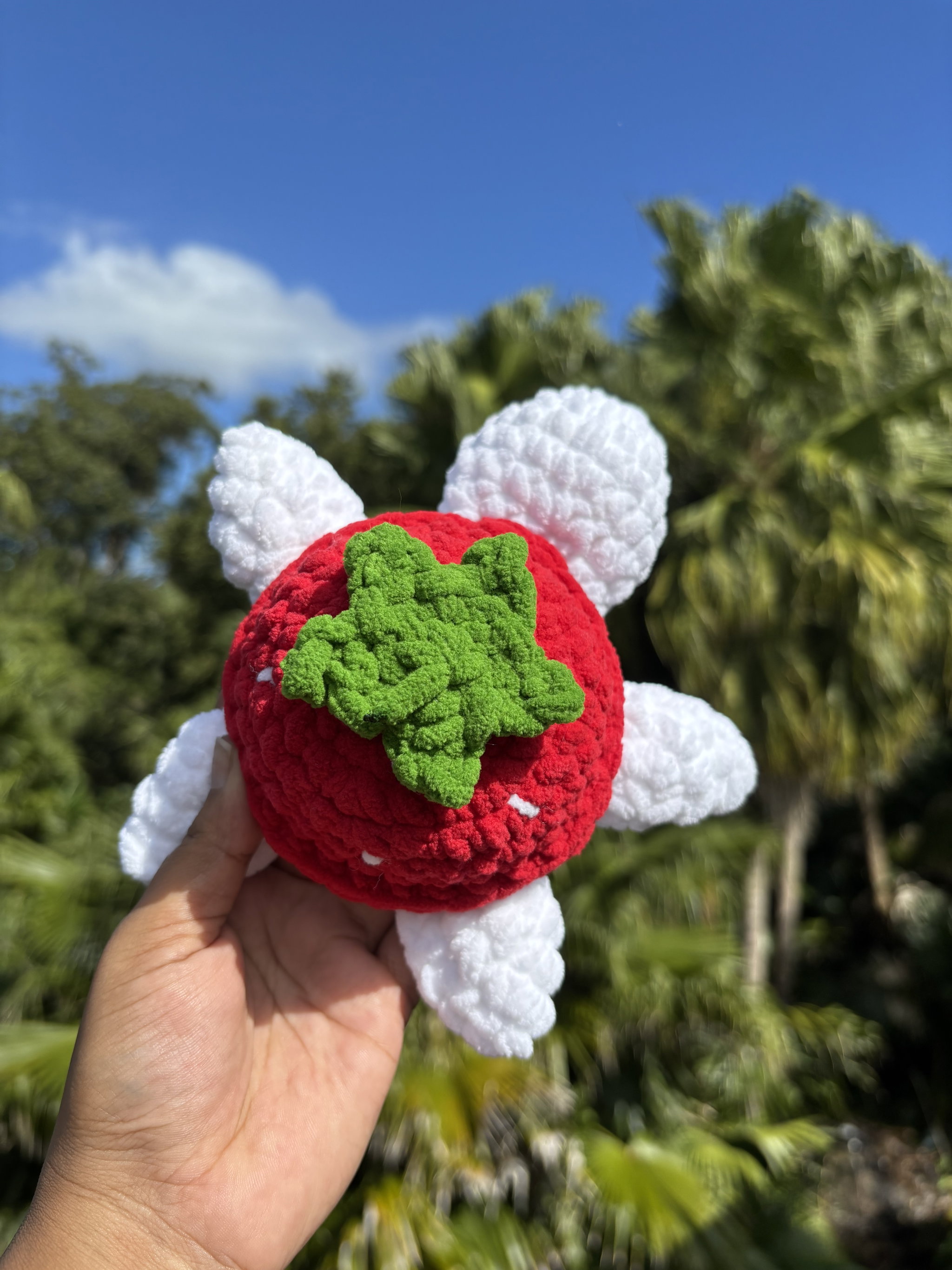 Strawberry turtle _1