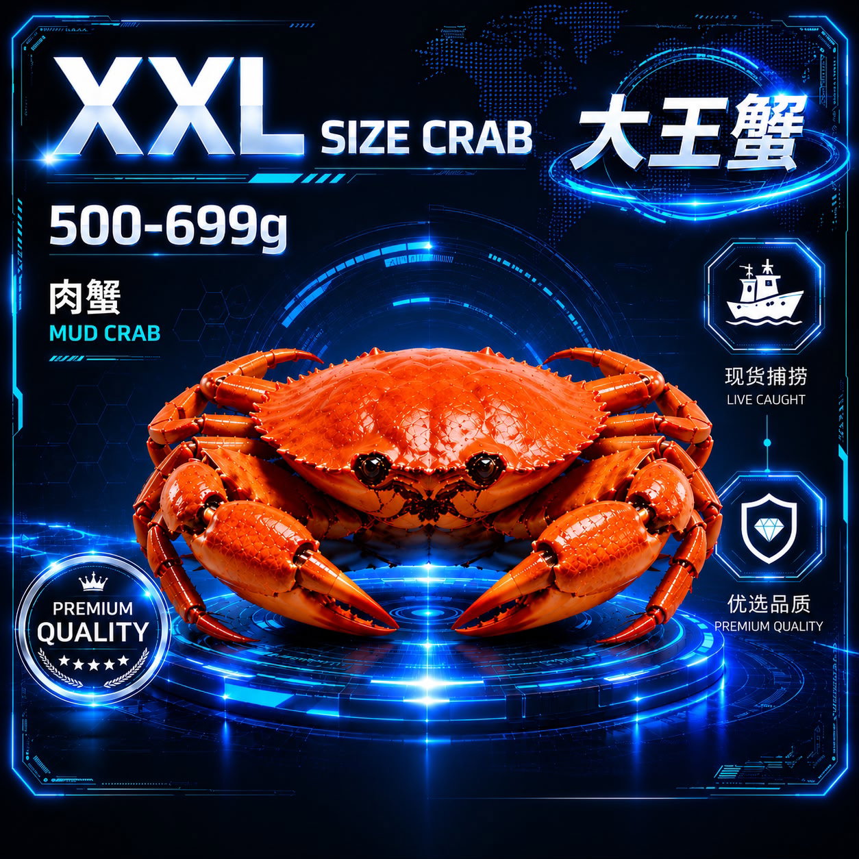 包满足配套 | XXL SIZE 肉蟹  (500-699G)  _0