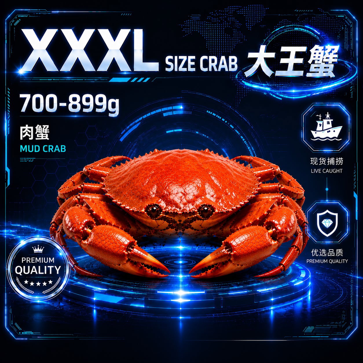 飞天爽配套 | XXXL SIZE 肉蟹 (700-899G) _0