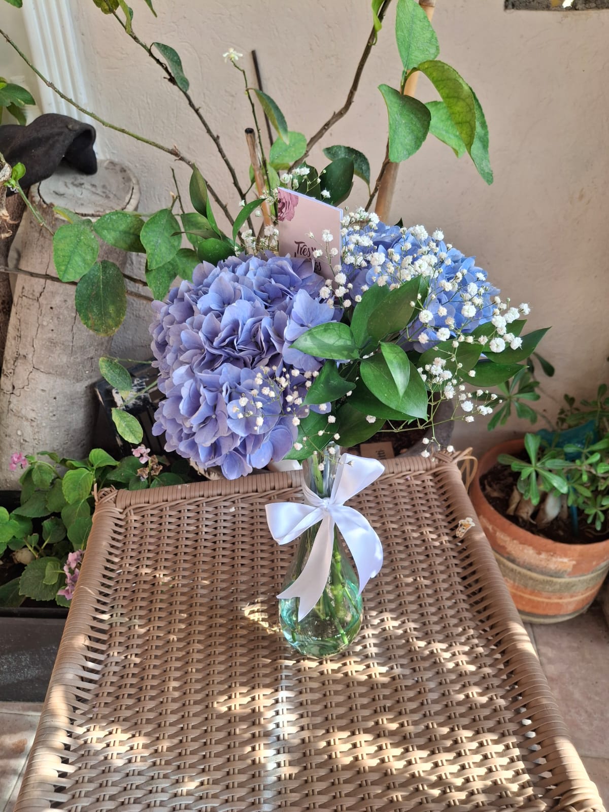 Hortensias en jarrón
