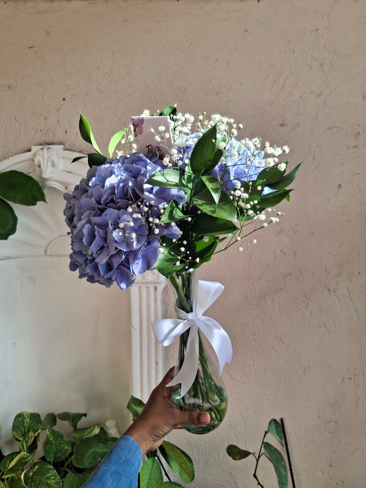Hortensias en jarrón