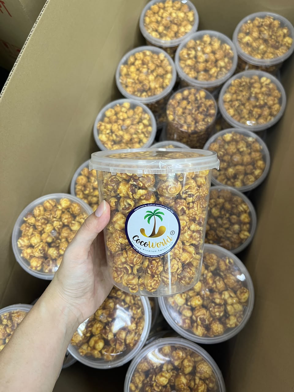 Popcorn Container