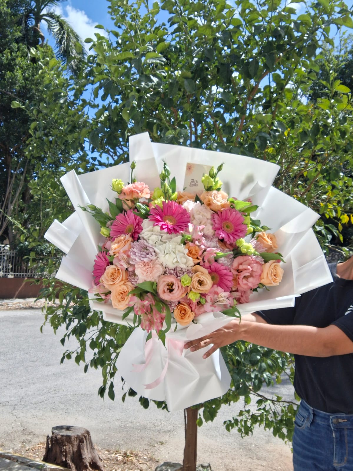 Maxi Garden