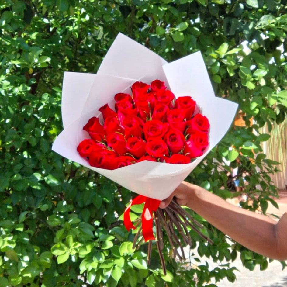 24 Rosas Clásicas