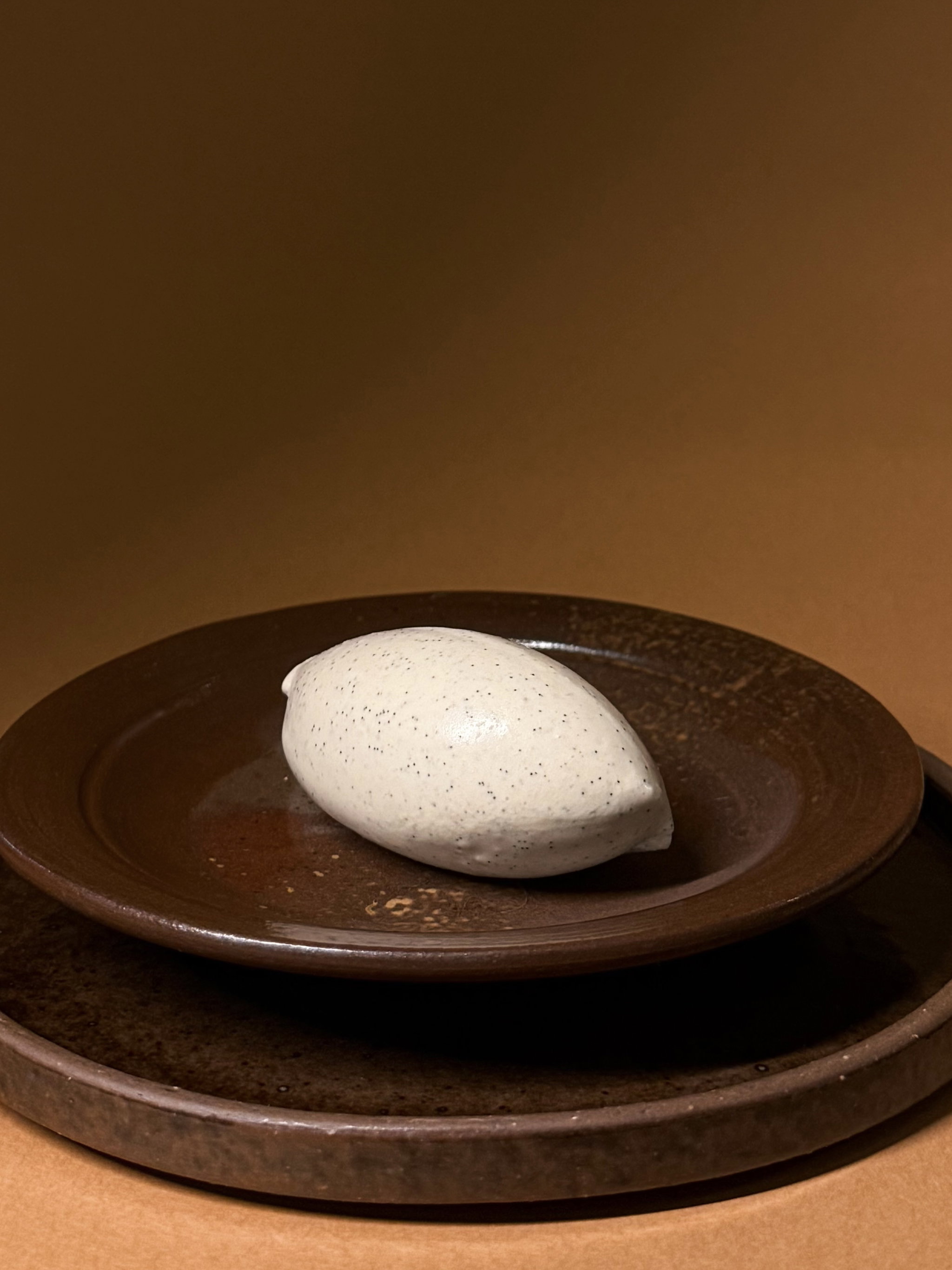 Madagascan Vanilla Bean_2