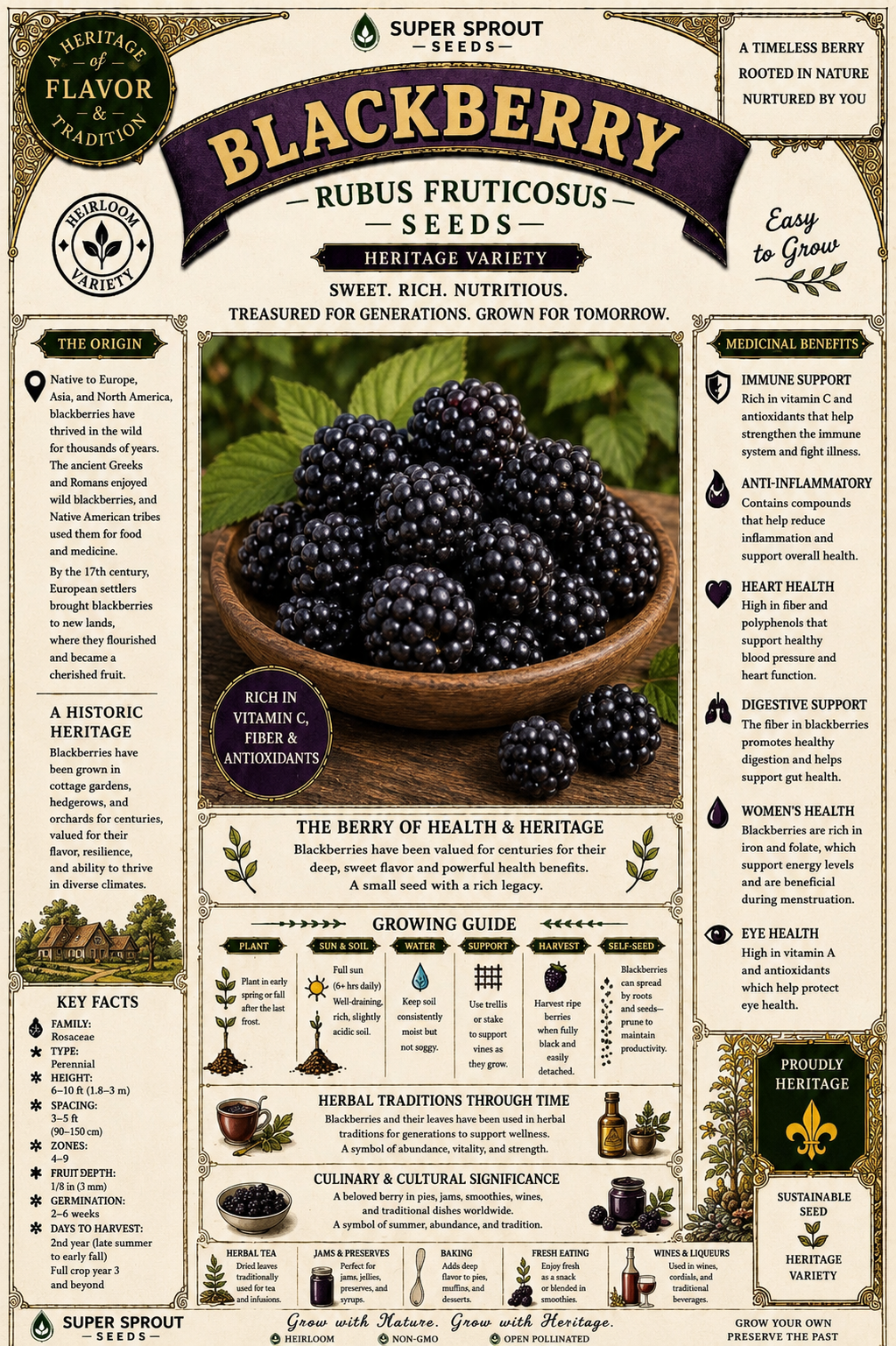 Blackberry x 15 seeds _1