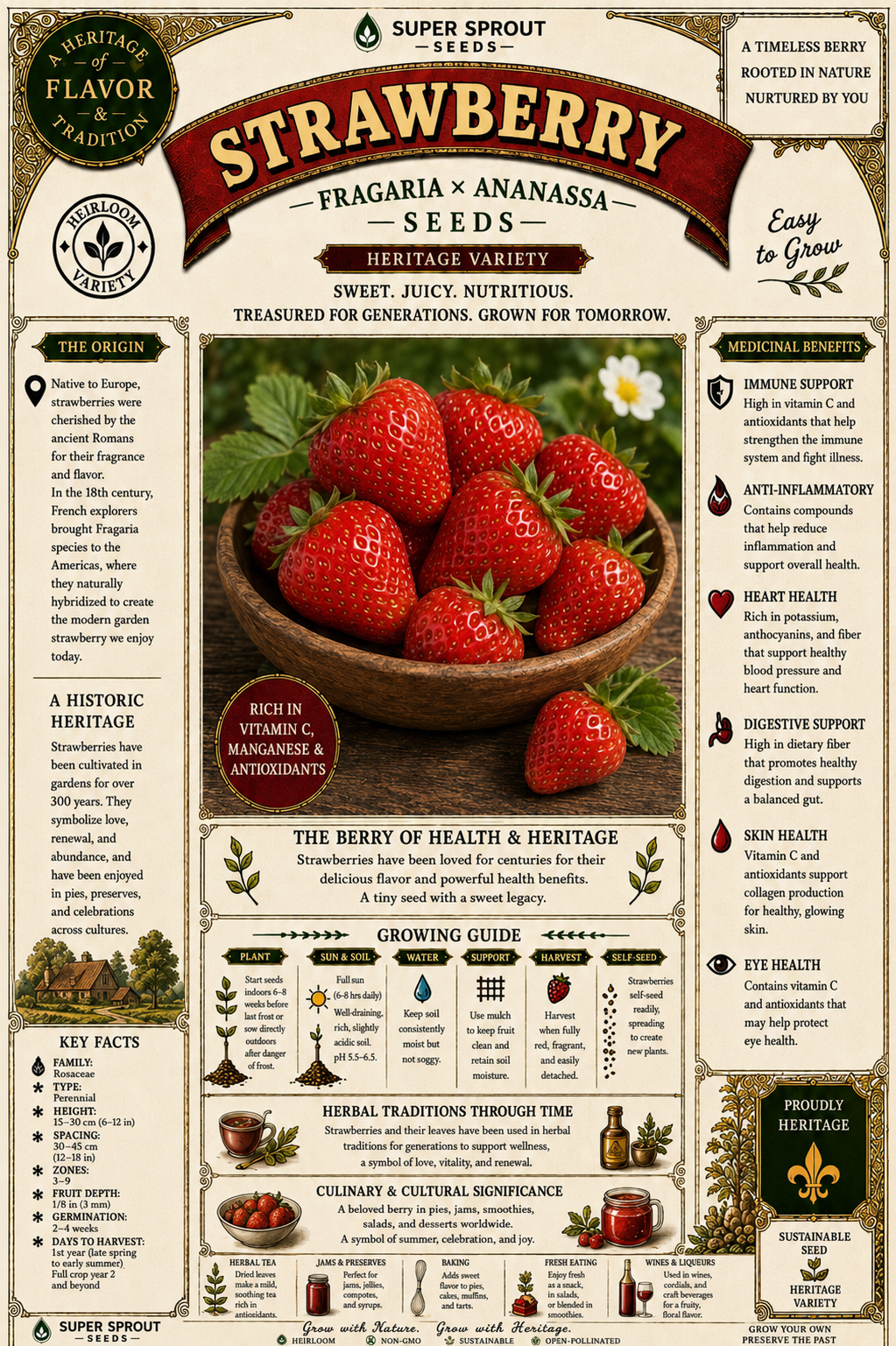 STRAWBERRY x only 15 seeds_1
