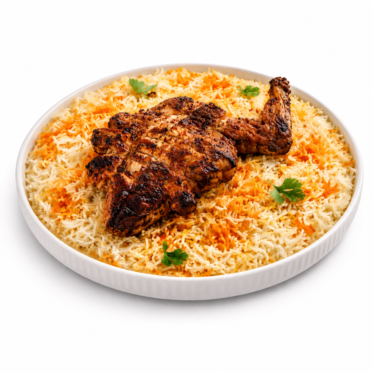 Tikka Biryani_0