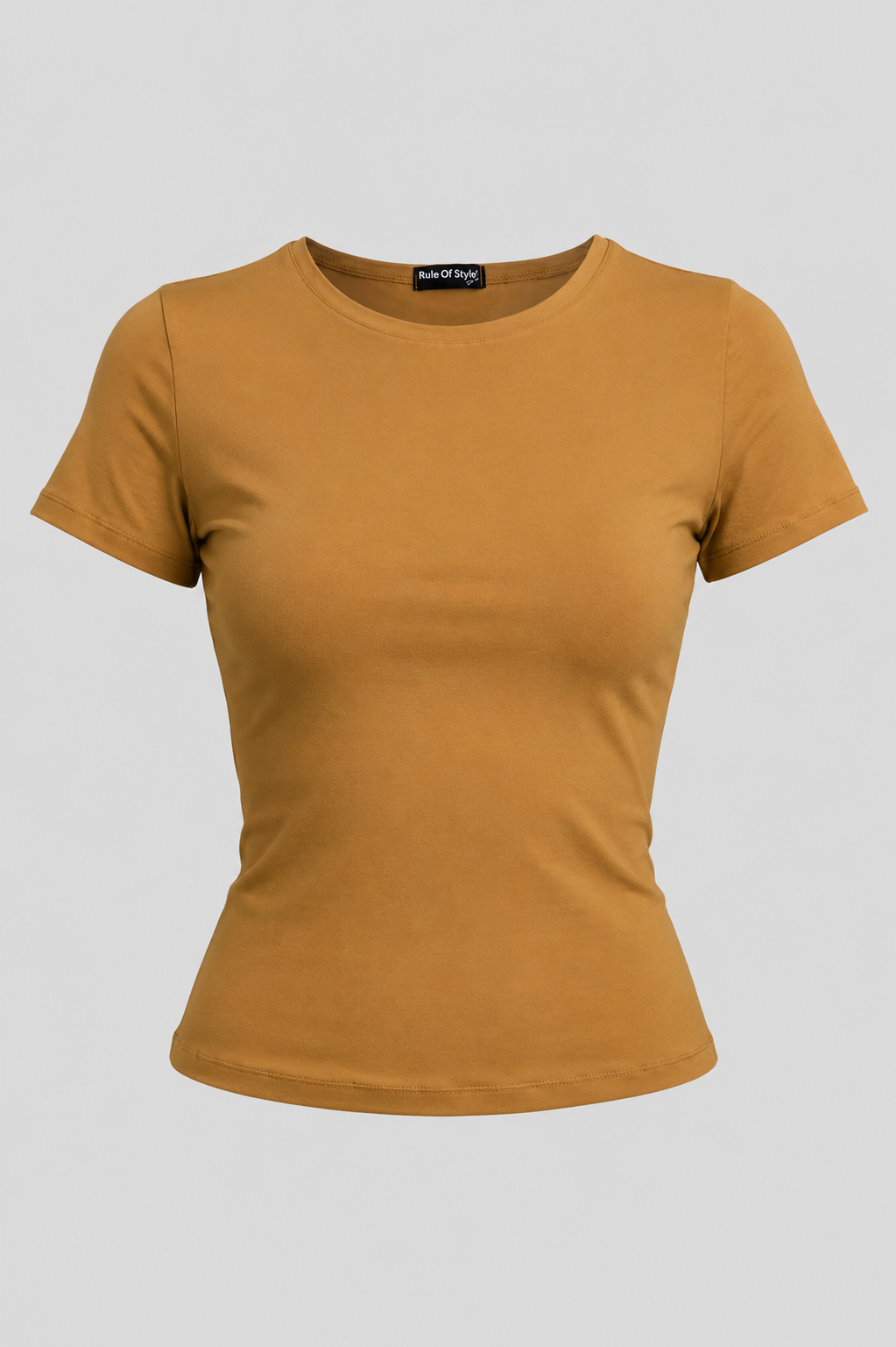 Hailey Fitted T-shirt _21